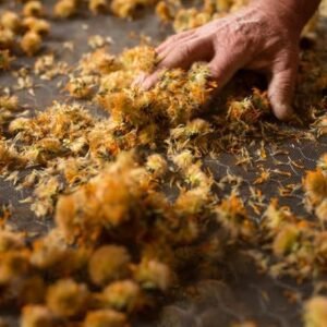 Weleda Arnica Muscle Soak 200 ml