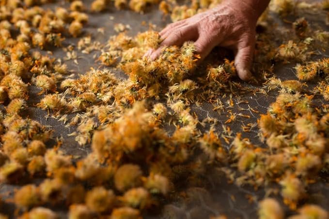 Weleda Arnica Muscle Soak 200 ml