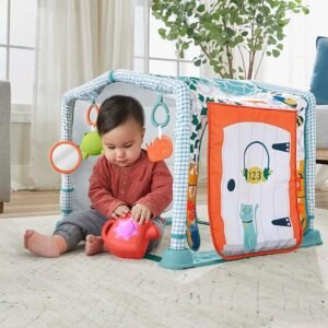 Fisher-Price Cozy Cottage Gym