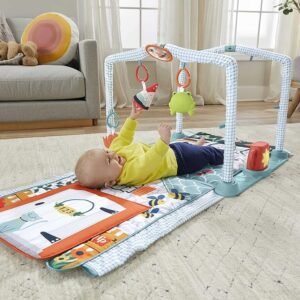 Fisher-Price Cozy Cottage Gym